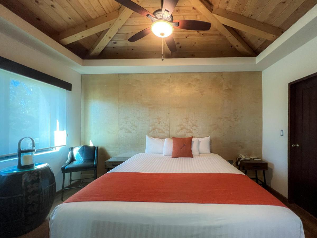 Bottega Hotel Boutique Valle de Guadalupe Quarto foto
